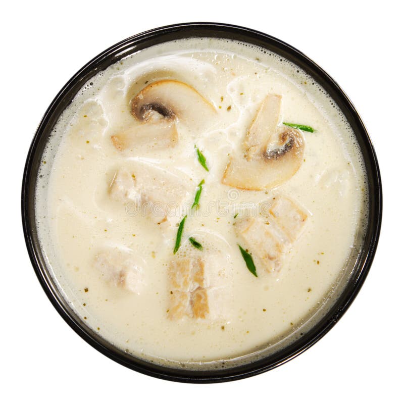Paraboloïdes thaïs - potage avec du lait de Cocos photo stock