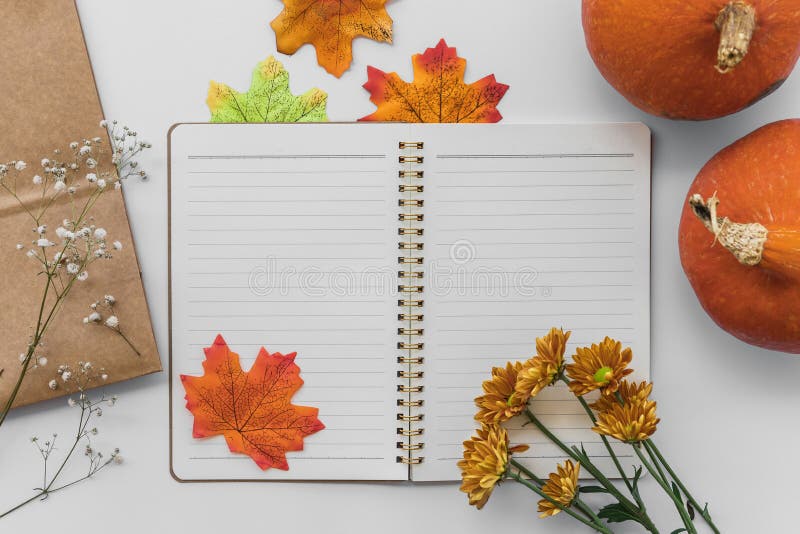 Paracadute con due zucche arancioni e foglie secche e fiori su fondo bianco. immagine stock libera da diritti