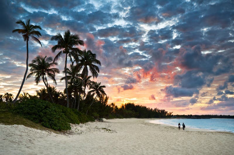 Paradis des Caraïbes tropical de plage de sable au coucher du soleil photo libre de droits Paradis des Caraïbes tropical de plage de sable au coucher du soleil photo libre de droits