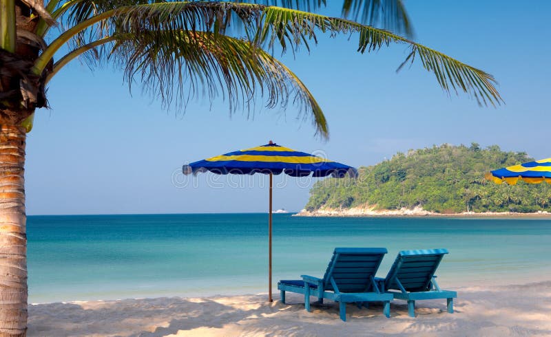 De dos sillas a un paraguas sobre el Playa palmera.
