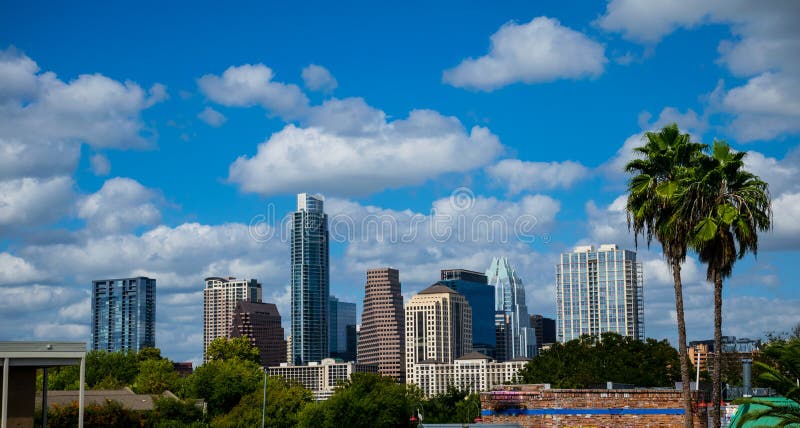 Paradise Austin Texas Skyline Sunny Day Blue Sky with Two Tropical Palm Trees Closer