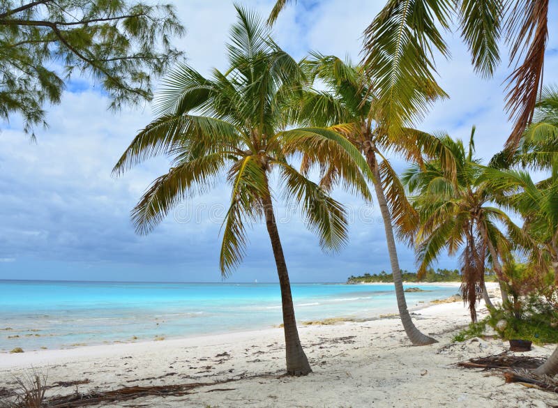 Eleuthera Bahamas beach scene with pam trees and turquois waters coral  