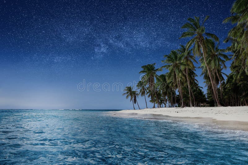 Paradise Beach at Night. Tropical Paradise, White Sand, Beach, Palm ...