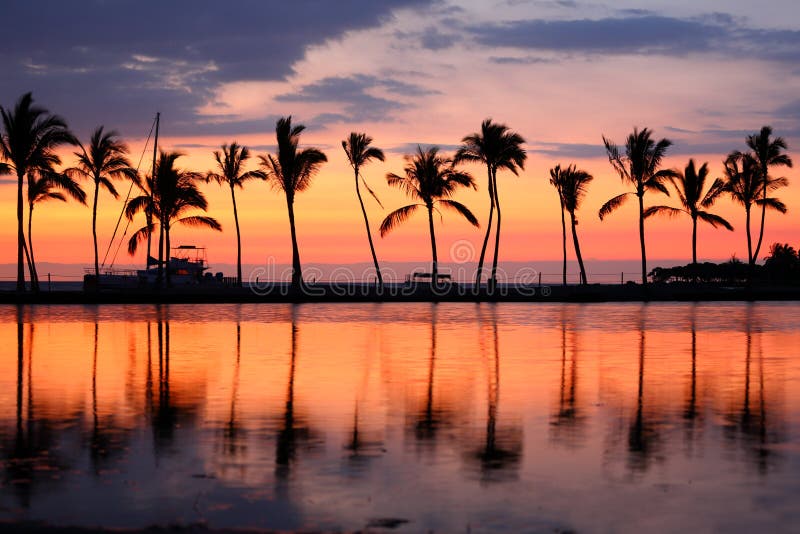 Paradise beach sunset tropical palm trees