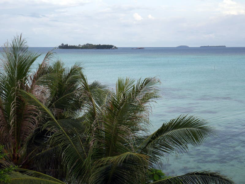 Paradise beach with tropical palm trees royalty free stock photography