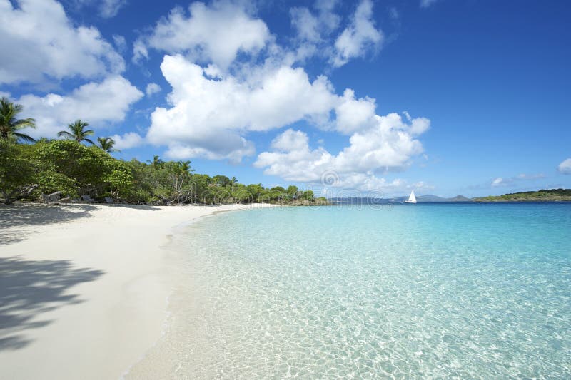 Le acque poco profonde a lambire le rive deserte Caribbean paradise beach, nelle Isole Vergini.