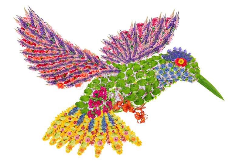 Paradise humming-bird made from fresh summer flowers. Abstract isolated collage. Paradise humming-bird made from fresh summer flowers. Abstract isolated collage