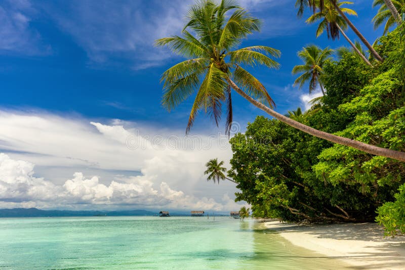 Paradise island -  landscape of tropical beach - calm ocean, palm trees, blue sky