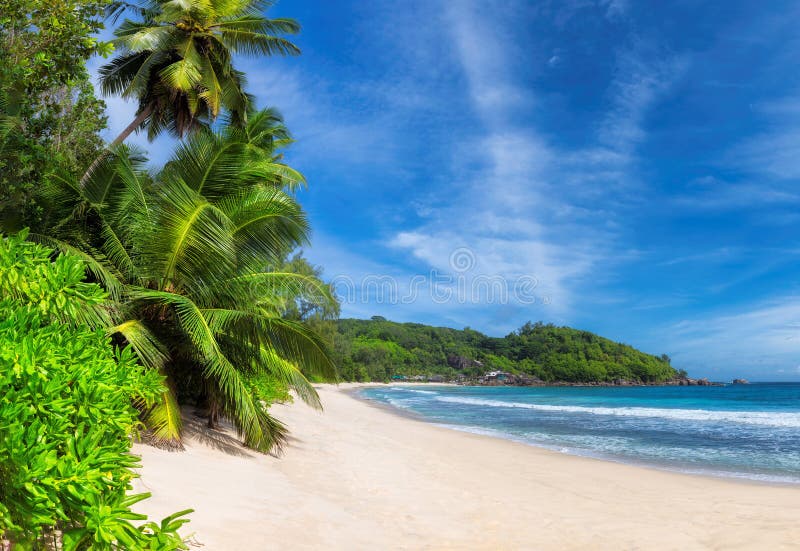 Panoramic view of paradise beach in tropical island. Coconut palms on sunny beach and turquoise sea. stock photo Panoramic view of paradise beach in tropical island. Coconut palms on sunny beach and turquoise sea. stock photo