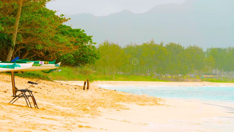 Paradise White Sand Beach with Coco Palm and Turquoise Sea. Summer ...