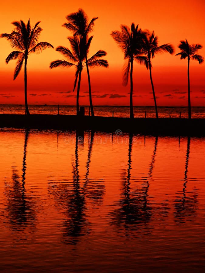 Paradisstrand på solnedgången med tropiska palmträd