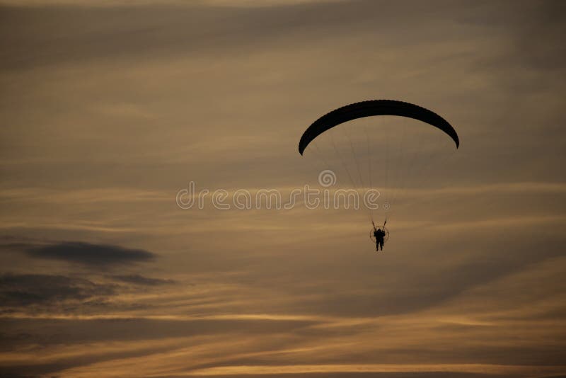 Paraglider