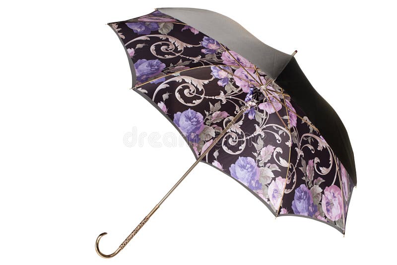 Paraguas elegante de archivo. Imagen de blindaje - 41069064