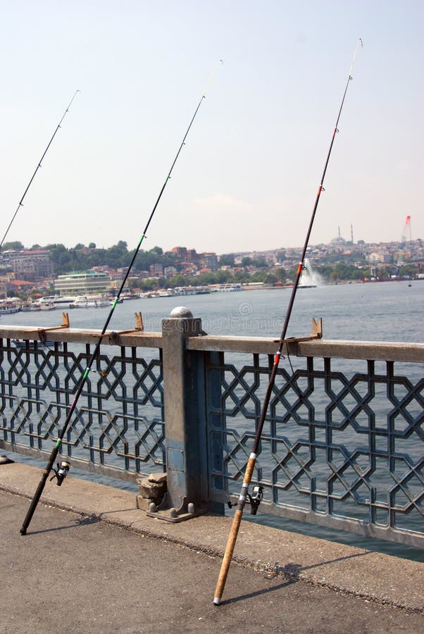 Parallel rods waiting fish