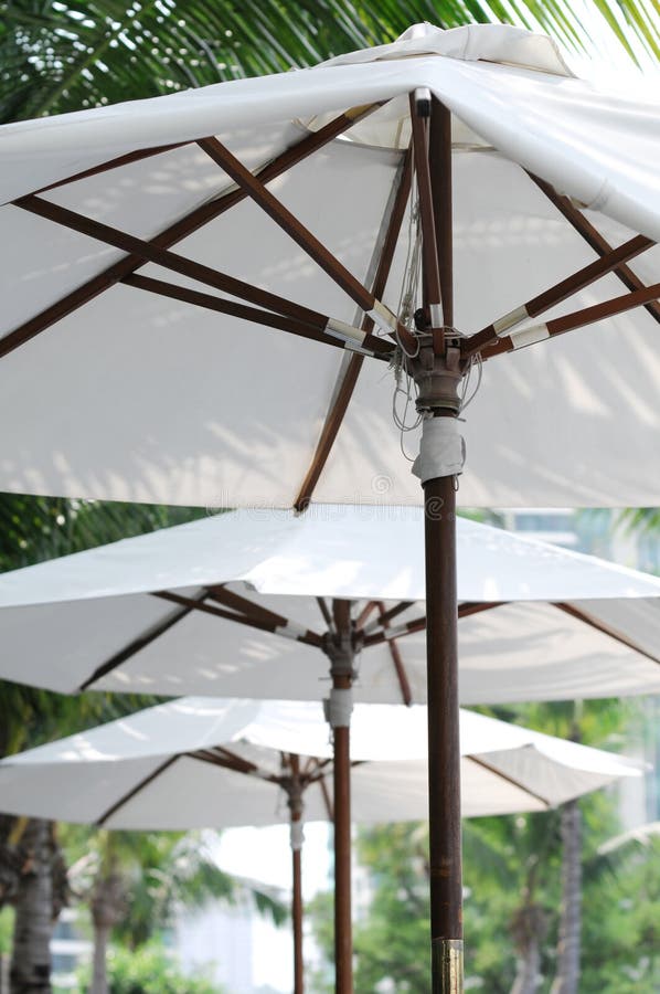 A row of white beach umbrellas. A row of white beach umbrellas