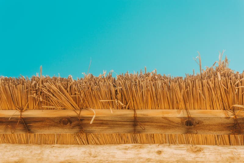 straw beach umbrella with blue sky . sammer sanny happy. straw beach umbrella with blue sky . sammer sanny happy