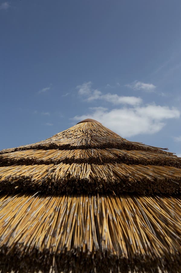 Top of straw parasol on south beach fort Lauderdale, Miami, united states taken in march 2006. Top of straw parasol on south beach fort Lauderdale, Miami, united states taken in march 2006