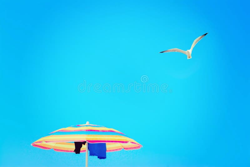 Parasol under a flying seagull royalty free stock images