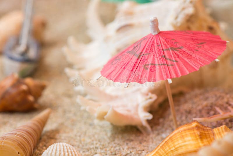 Parasolowe morze skorupy na piaskowatej tropikalnej plaży zdjęcie stock Parasolowe morze skorupy na piaskowatej tropikalnej plaży zdjęcie stock