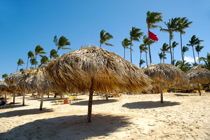 Many parasols made out of palm leafs on beach. Dominican Republic, Punta Cana. Many parasols made out of palm leafs on beach. Dominican Republic, Punta Cana.