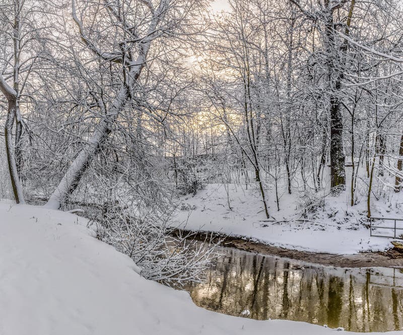 Rybatskoe; St. Petersburg. Russia. December 2; 2019. City park after heavy snowfall at night. Rybatskoe; St. Petersburg. Russia. December 2; 2019. City park after heavy snowfall at night