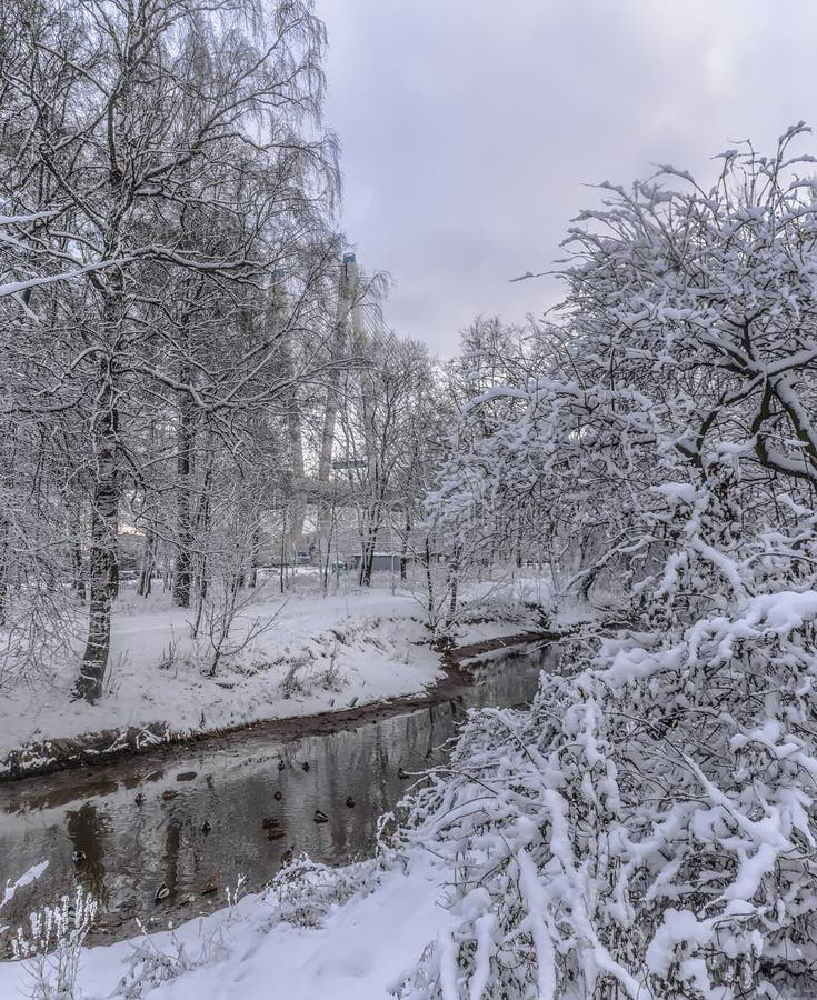 Rybatskoe; St. Petersburg. Russia. December 2; 2019. City park after heavy snowfall at night. Rybatskoe; St. Petersburg. Russia. December 2; 2019. City park after heavy snowfall at night