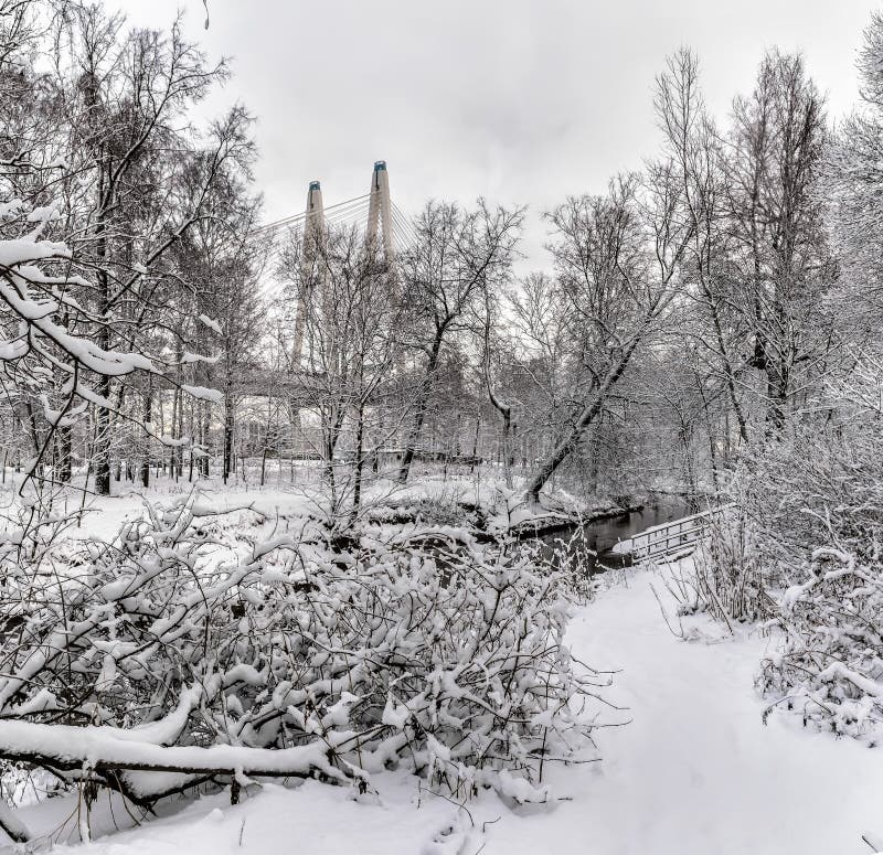 Rybatskoe; St. Petersburg. Russia. December 2; 2019. City park after heavy snowfall at night. Rybatskoe; St. Petersburg. Russia. December 2; 2019. City park after heavy snowfall at night