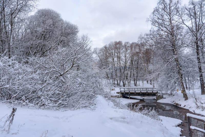 Rybatskoe, St. Petersburg. Russia. December 2, 2019. City park after heavy snowfall at night. Rybatskoe, St. Petersburg. Russia. December 2, 2019. City park after heavy snowfall at night