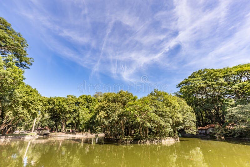 Parc de Passeio Publico Curitiba, état de Parana - Brésil image libre de droits Parc de Passeio Publico Curitiba, état de Parana - Brésil image libre de droits