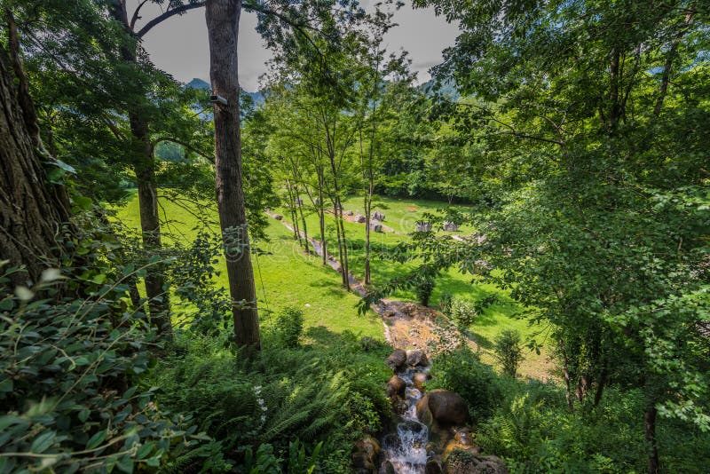 Parc de Λα Prehistoire στα στα μέσα τηςΠυρηναία, Γαλλία στοκ εικόνες