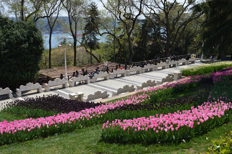 Parc et lieu de repos avec le beau jardin image stock Parc et lieu de repos avec le beau jardin image stock