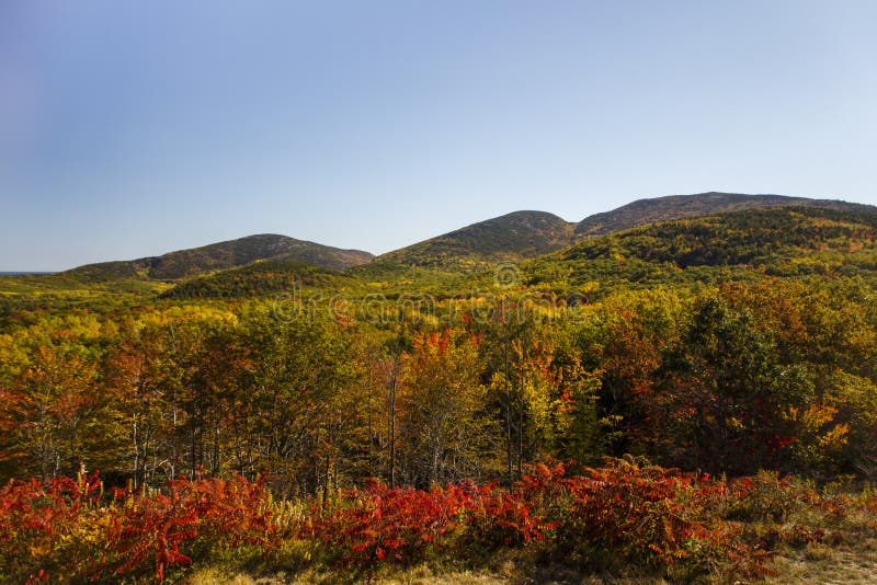 Parc national d'Acadia dans le port de barre, Etats-Unis, 2015 images libres de droits Parc national d'Acadia dans le port de barre, Etats-Unis, 2015 images libres de droits