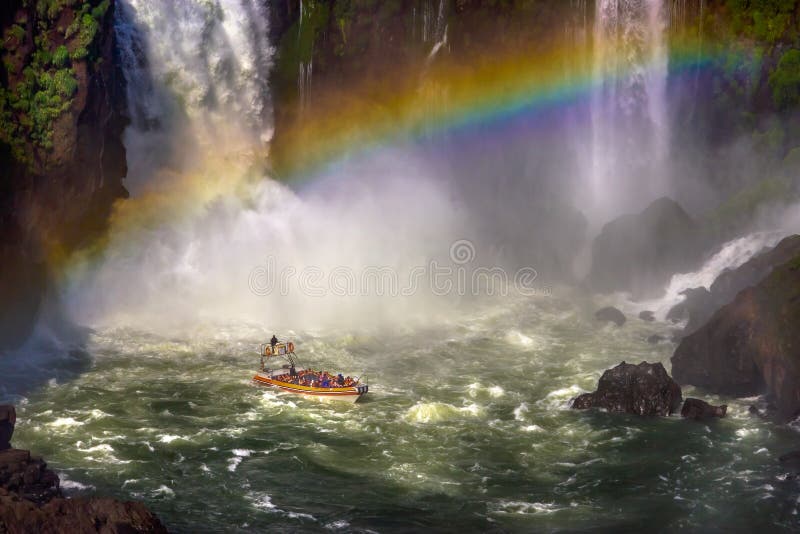 Parc national d'Iguazu, Argentine - Un sanglier dans les eaux troubles des chutes d'Iguazu Patrimoine mondial de l'UNESCO images libres de droits Parc national d'Iguazu, Argentine - Un sanglier dans les eaux troubles des chutes d'Iguazu Patrimoine mondial de l'UNESCO images libres de droits