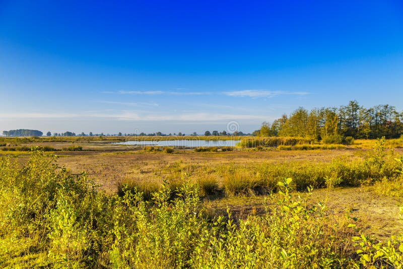 Parc national de Dwingelderveld dans la province néerlandaise de Drenthe photos stock Parc national de Dwingelderveld dans la province néerlandaise de Drenthe photos stock