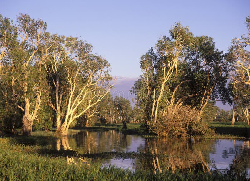 Parc national de Kakadu image libre de droits Parc national de Kakadu image libre de droits