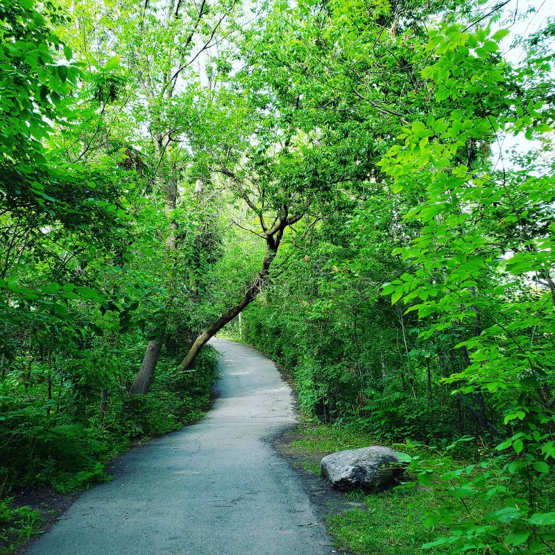 Parcnature De Lâ€™ÃŽledela Visitation Stock Photo Image of canada