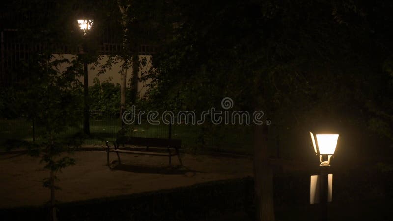 Parc noir la nuit avec des lampadaires vides et les arbres d'un banc deux banque de vidéos