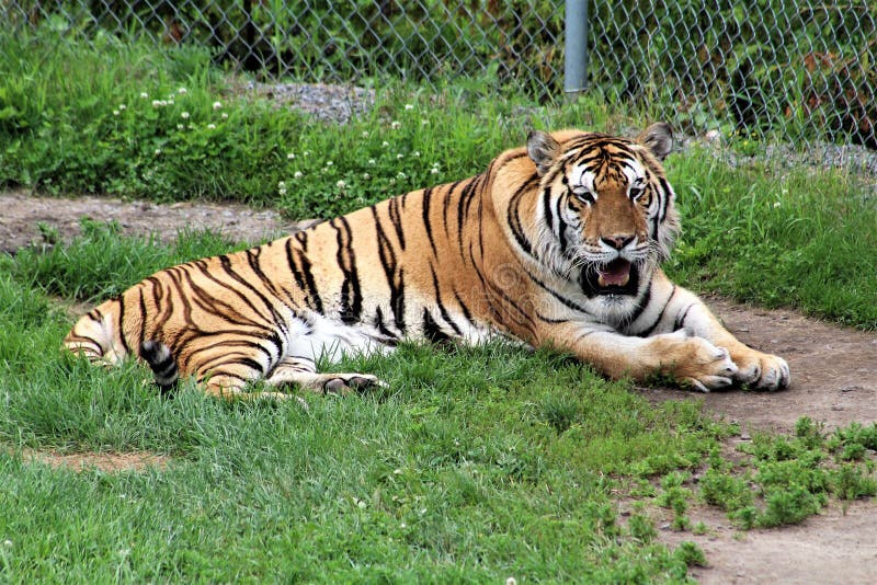 parc safari canada