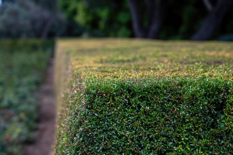 Park Ramat Hanadiv, Memorial Gardens of Baron Edmond de Rothschild, Zichron Yaakov, Israel. High quality photo. Park Ramat Hanadiv, Memorial Gardens of Baron Edmond de Rothschild, Zichron Yaakov, Israel. High quality photo