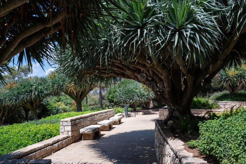 Park Ramat Hanadiv, Memorial Gardens of Baron Edmond de Rothschild, Zichron Yaakov, Israel. High quality photo. Park Ramat Hanadiv, Memorial Gardens of Baron Edmond de Rothschild, Zichron Yaakov, Israel. High quality photo