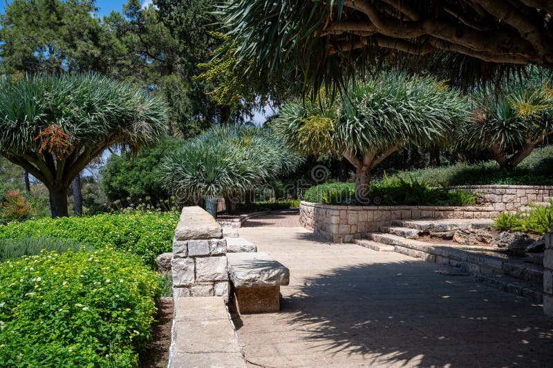 Park Ramat Hanadiv, Memorial Gardens of Baron Edmond de Rothschild, Zichron Yaakov, Israel. High quality photo. Park Ramat Hanadiv, Memorial Gardens of Baron Edmond de Rothschild, Zichron Yaakov, Israel. High quality photo