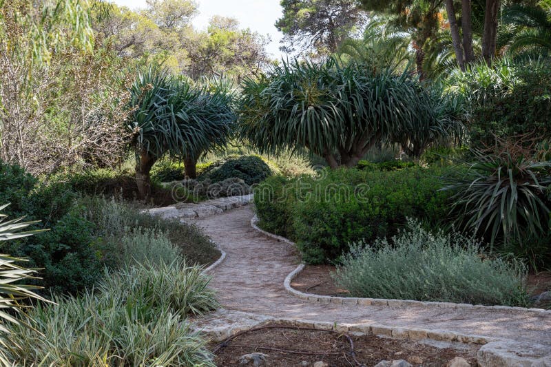 Park Ramat Hanadiv, Memorial Gardens of Baron Edmond de Rothschild, Zichron Yaakov, Israel. High quality photo. Park Ramat Hanadiv, Memorial Gardens of Baron Edmond de Rothschild, Zichron Yaakov, Israel. High quality photo