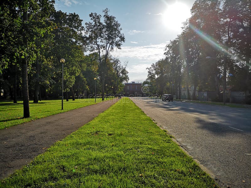Parc vert. Verdure dans la ville