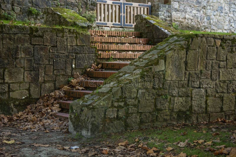 Parco 41 fotografie stock libere da diritti