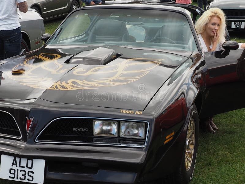 One of the UK's premier events for lovers of all things American! Huge Fins `n' Chrome cars from the 1950's and 1960's and American Muscle cars from the 1970's & 1980's, up to and including the very latest models! Corvettes, Mustangs, Cadillacs, Hot Rods, Custom Cars and more - plus the famous Wall of Death. One of the UK's premier events for lovers of all things American! Huge Fins `n' Chrome cars from the 1950's and 1960's and American Muscle cars from the 1970's & 1980's, up to and including the very latest models! Corvettes, Mustangs, Cadillacs, Hot Rods, Custom Cars and more - plus the famous Wall of Death