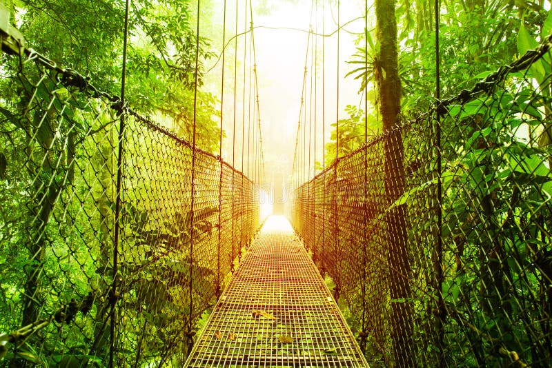 Parco dei ponti di attaccatura di Arenal del Costa Rica