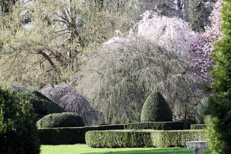 Parco del giardino ornamentale in primavera fotografia stock libera da diritti