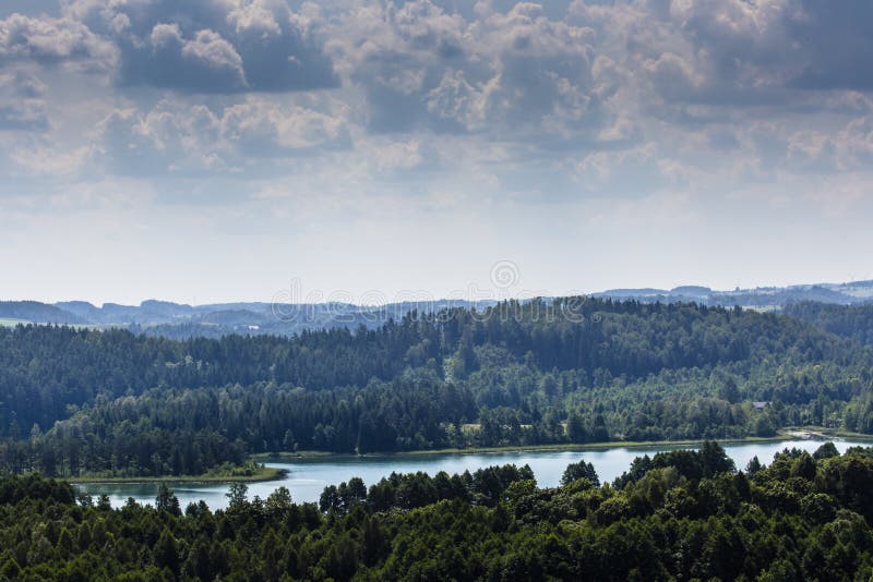Parco Del Paesaggio Di Suwalki, Polonia Fotografia Stock - Immagine di escursionismo, foresta: 42980488