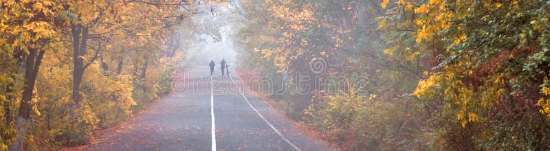 Parco della città di autunno, pareggiare e percorso della bici immagini stock libere da diritti Parco della città di autunno, pareggiare e percorso della bici immagini stock libere da diritti