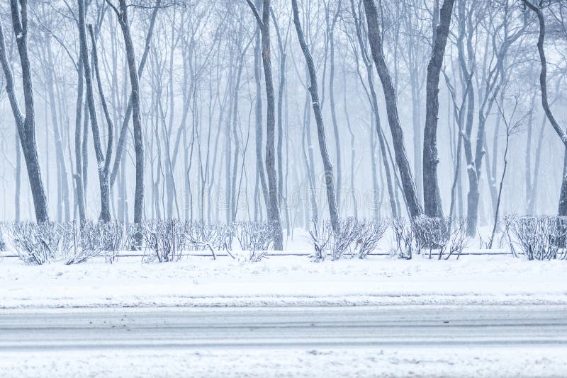 Parco della città nell'inverno Area di ricreazione della città durante le precipitazioni nevose Bufera di neve e bufera di neve p immagini stock libere da diritti Parco della città nell'inverno Area di ricreazione della città durante le precipitazioni nevose Bufera di neve e bufera di neve p immagini stock libere da diritti